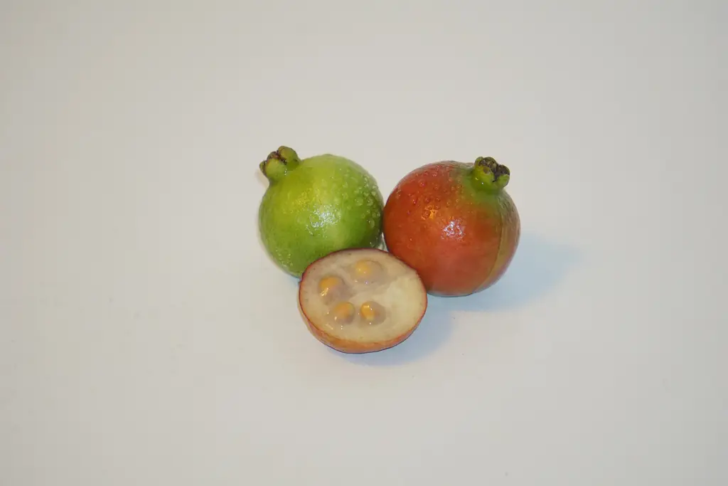 Whole and halved pink guava